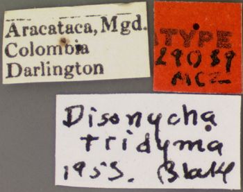 Media type: image;   Entomology 29089 Aspect: labels